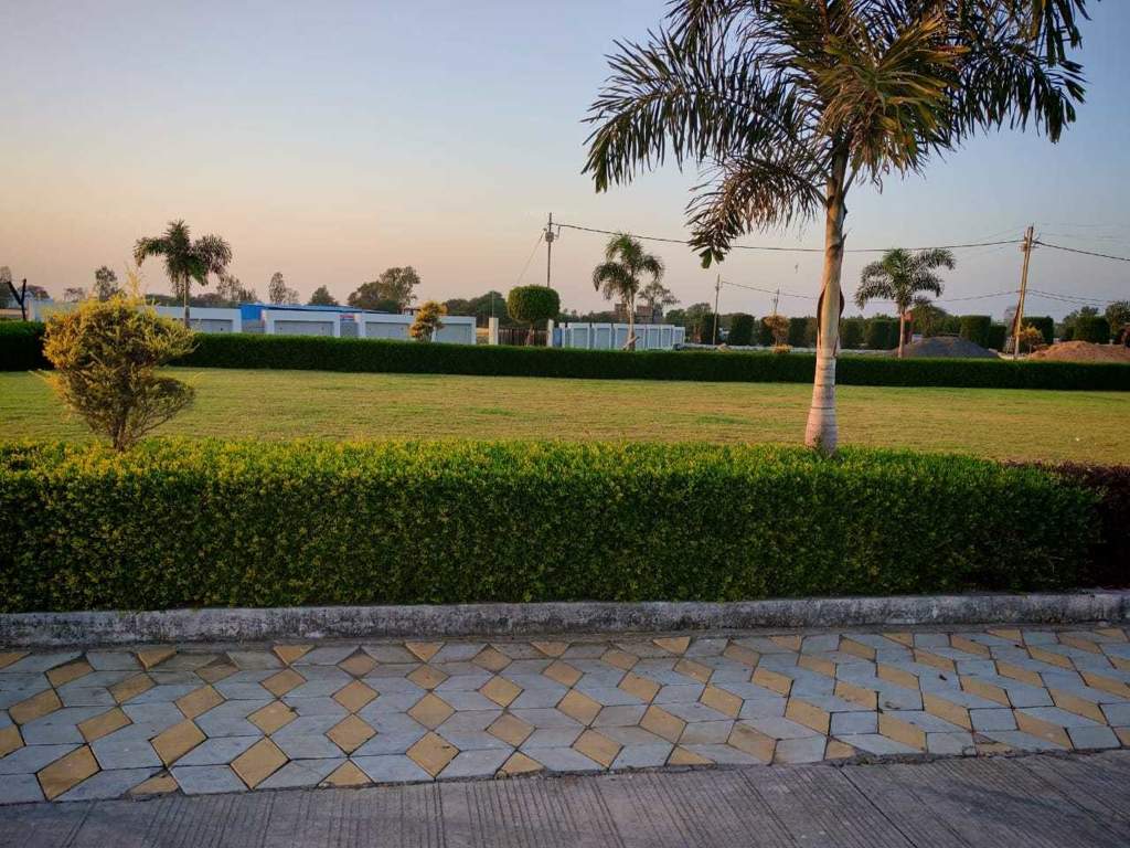  premium corridor Landscape Garden and Tree Planting