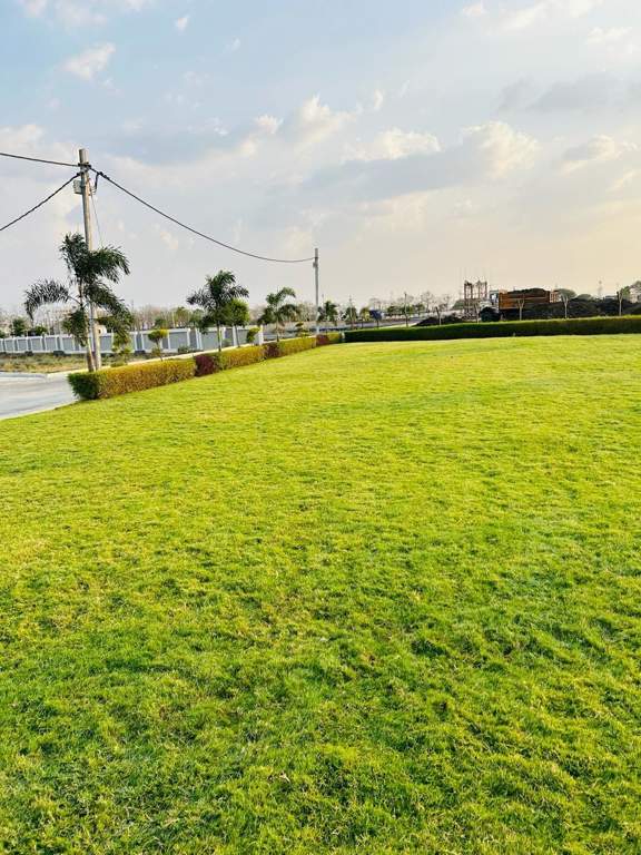  premium corridor Landscape Garden and Tree Planting