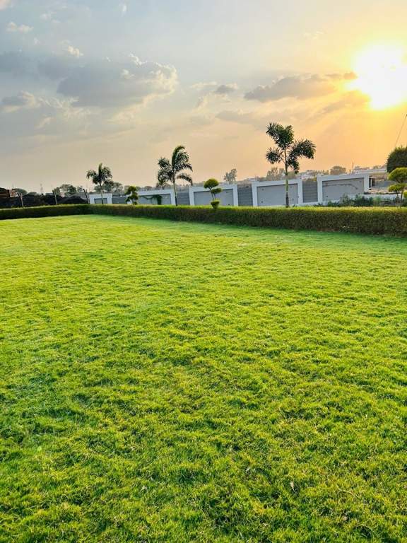  premium corridor Landscape Garden and Tree Planting