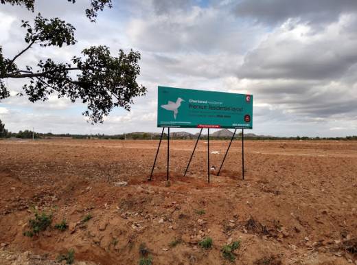 woodpecker Elevation Elevation