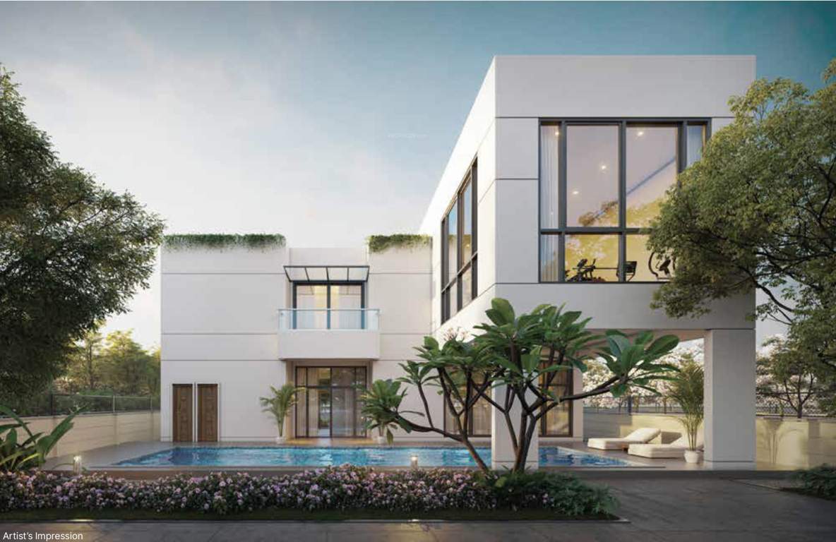  woodpecker Club House