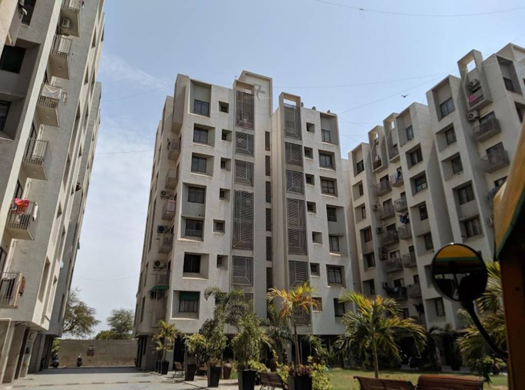  reeva Images for Project