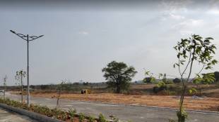  earth-whitefield Elevation