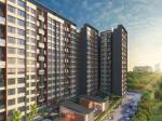 Elevation  coral Elevation