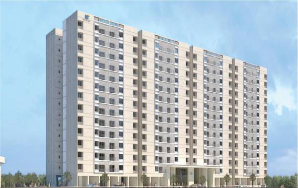 Images for Project Images for Project