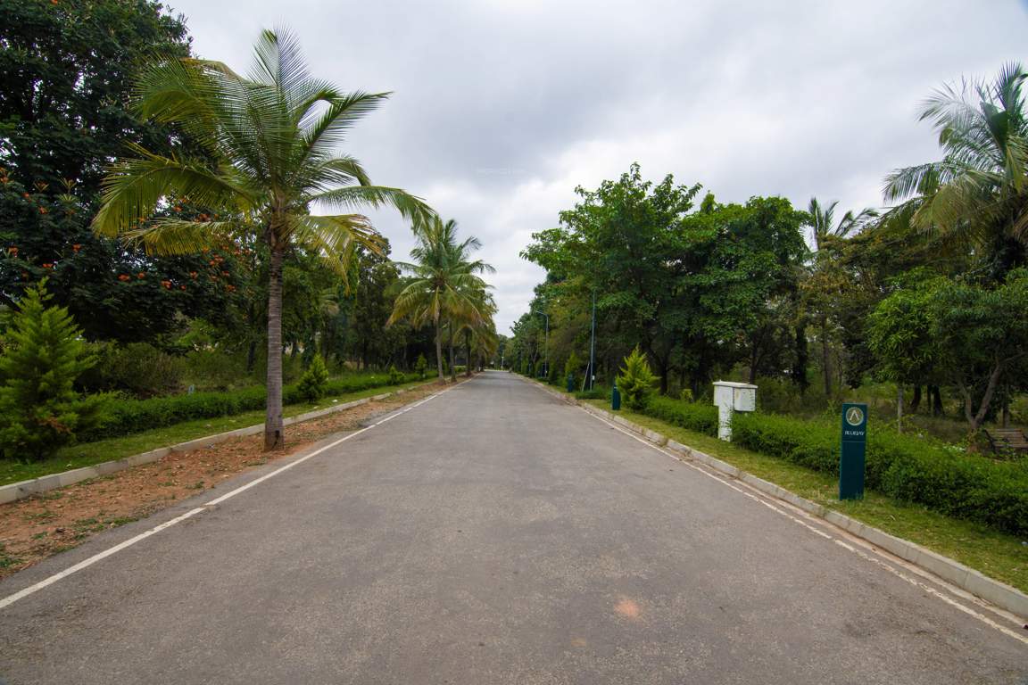 Images for mainOther