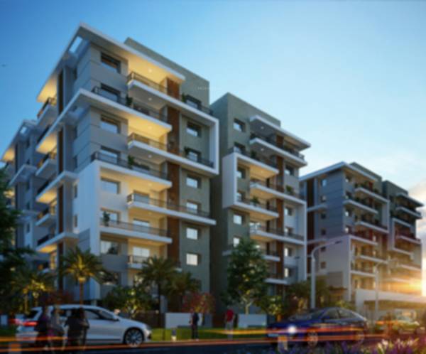 Images for Project Images for Project