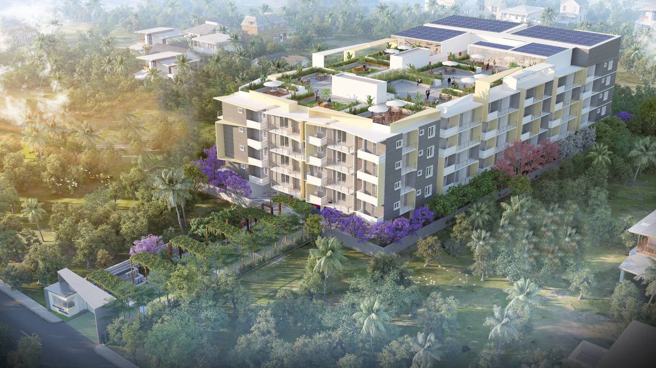  lavender Images for Project