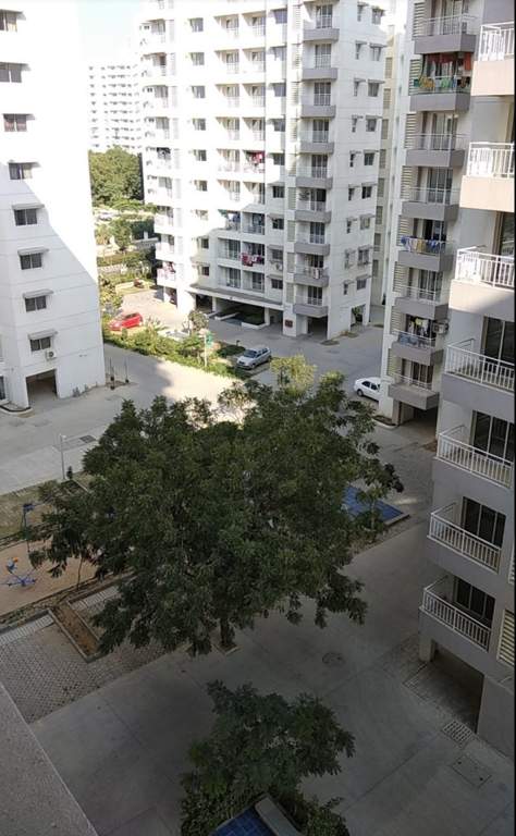  carmel g and i Elevation