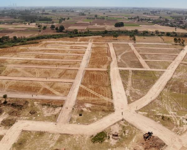 Elevation signature-city Elevation