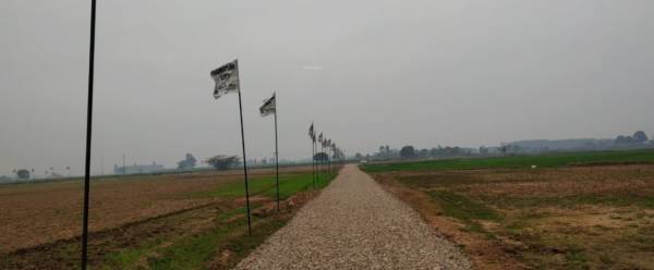 Plot signature-city Plot