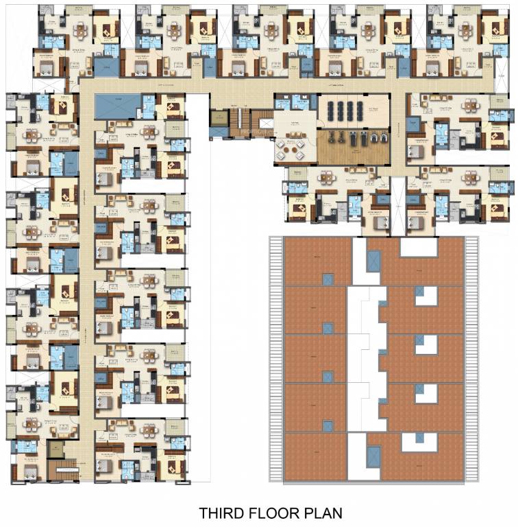 fortune Cluster Plan