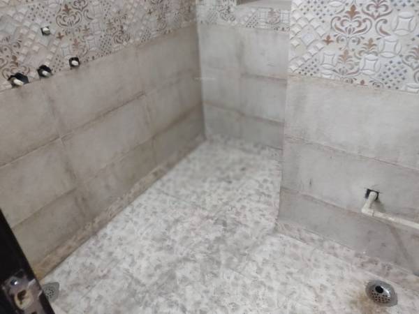 Images for mainOther