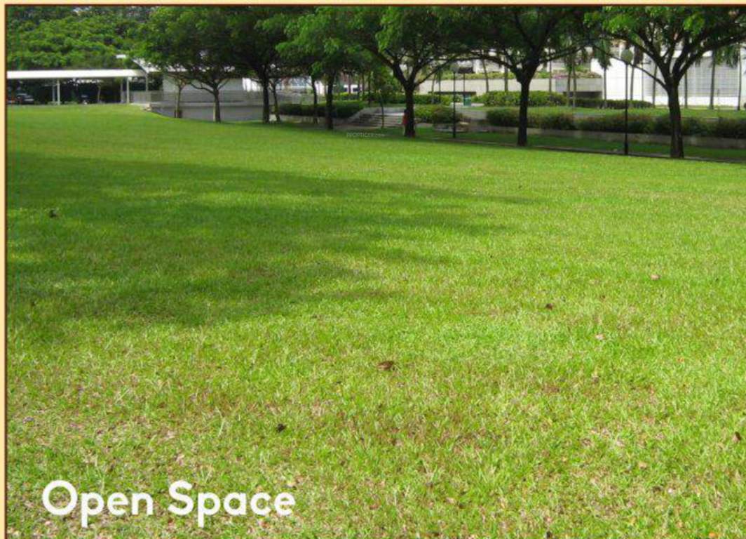  urban ambition Others