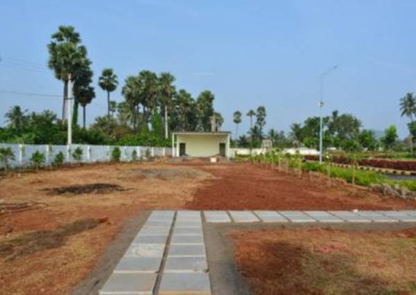 Images for mainOther