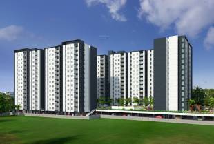  zenith Images for Project