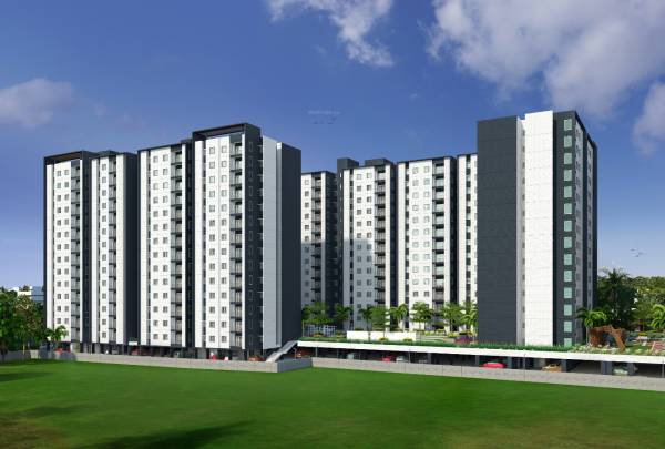  zenith Images for Project