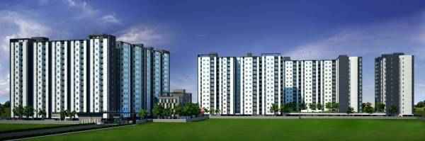  zenith Images for Project