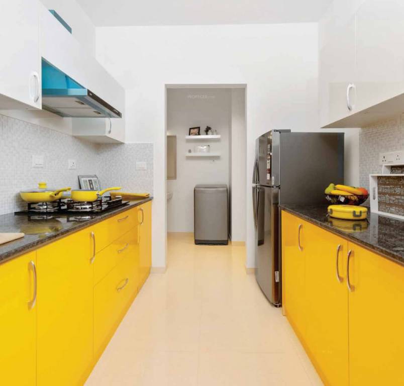 Images for mainOther