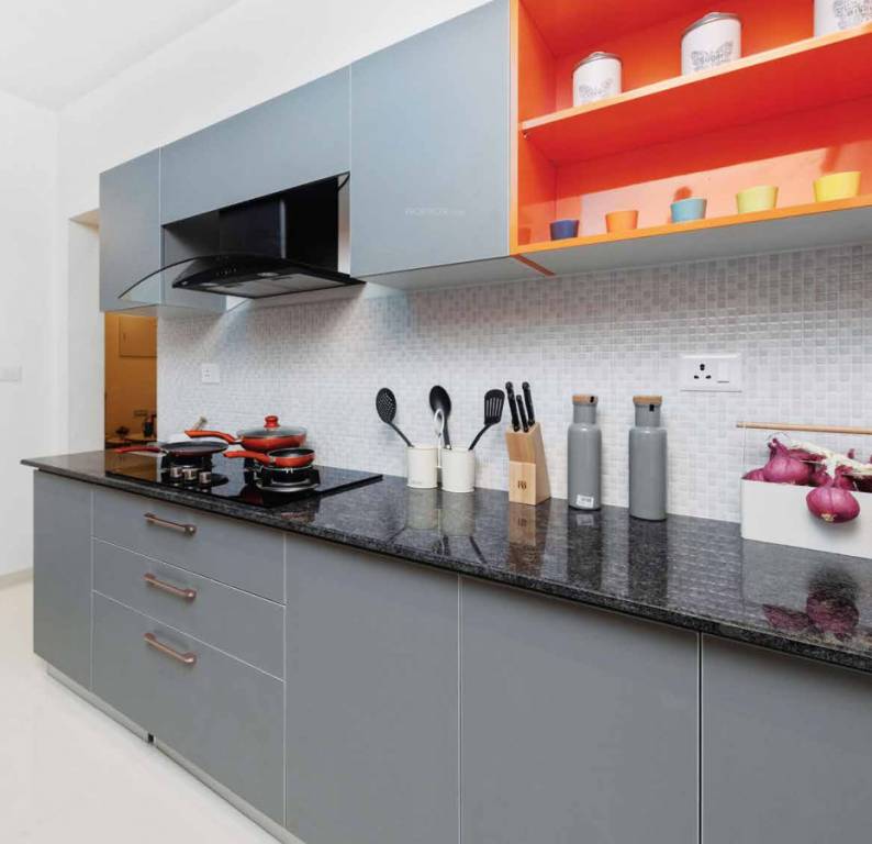 Images for mainOther