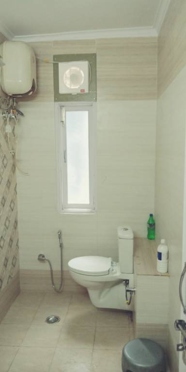 Images for mainOther