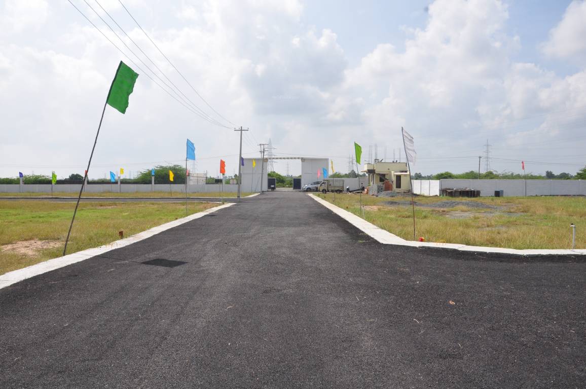 Images for mainOther