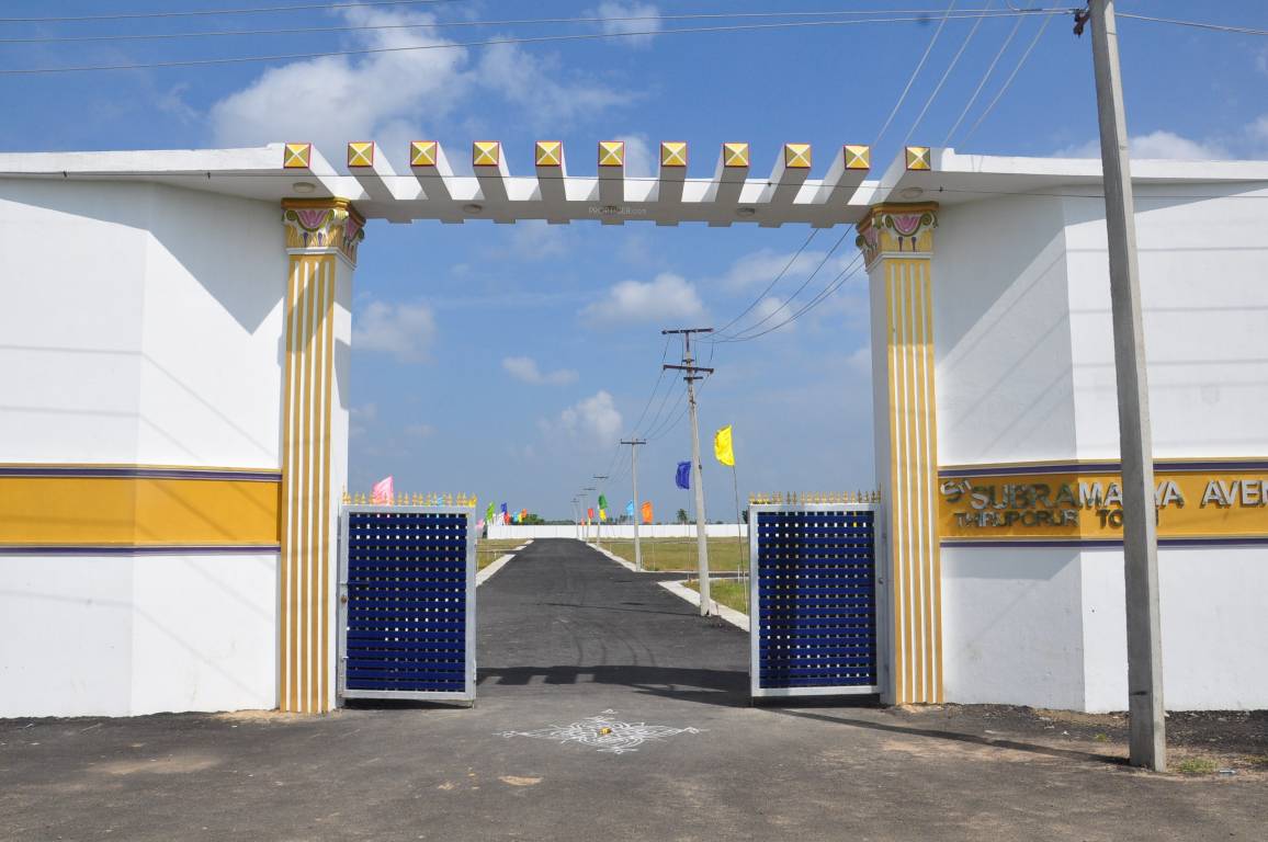 Images for mainOther