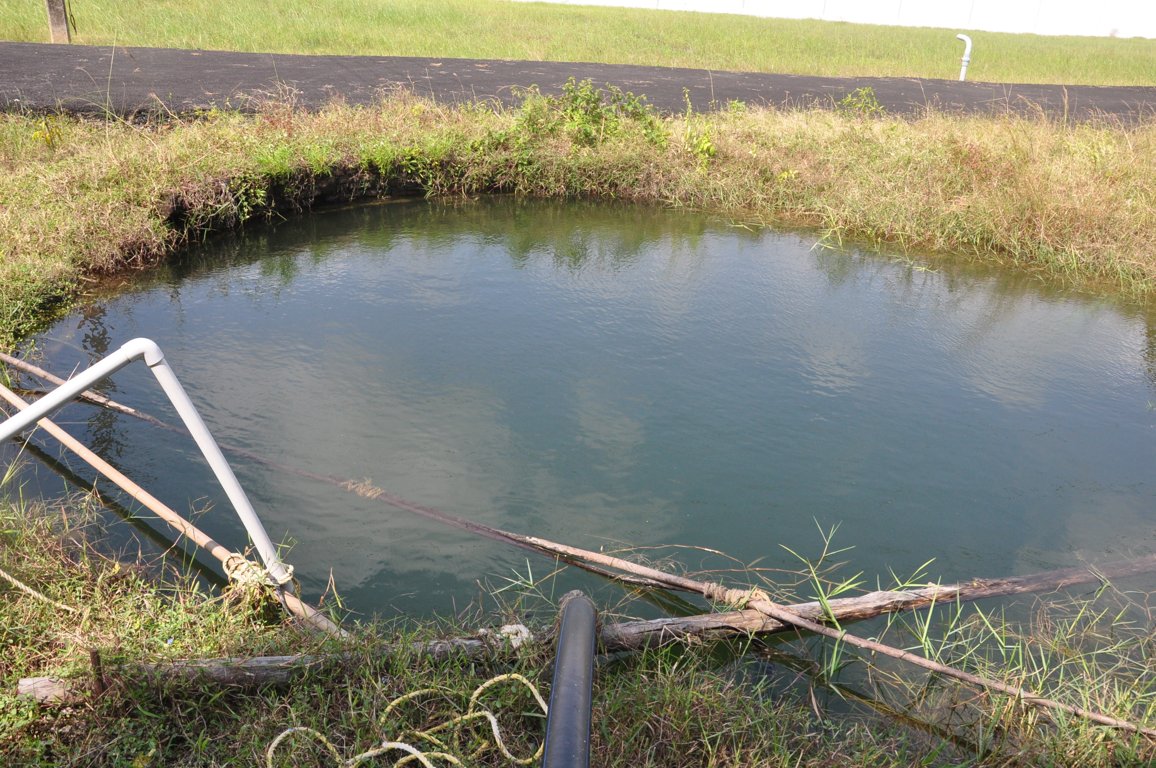 Images for mainOther