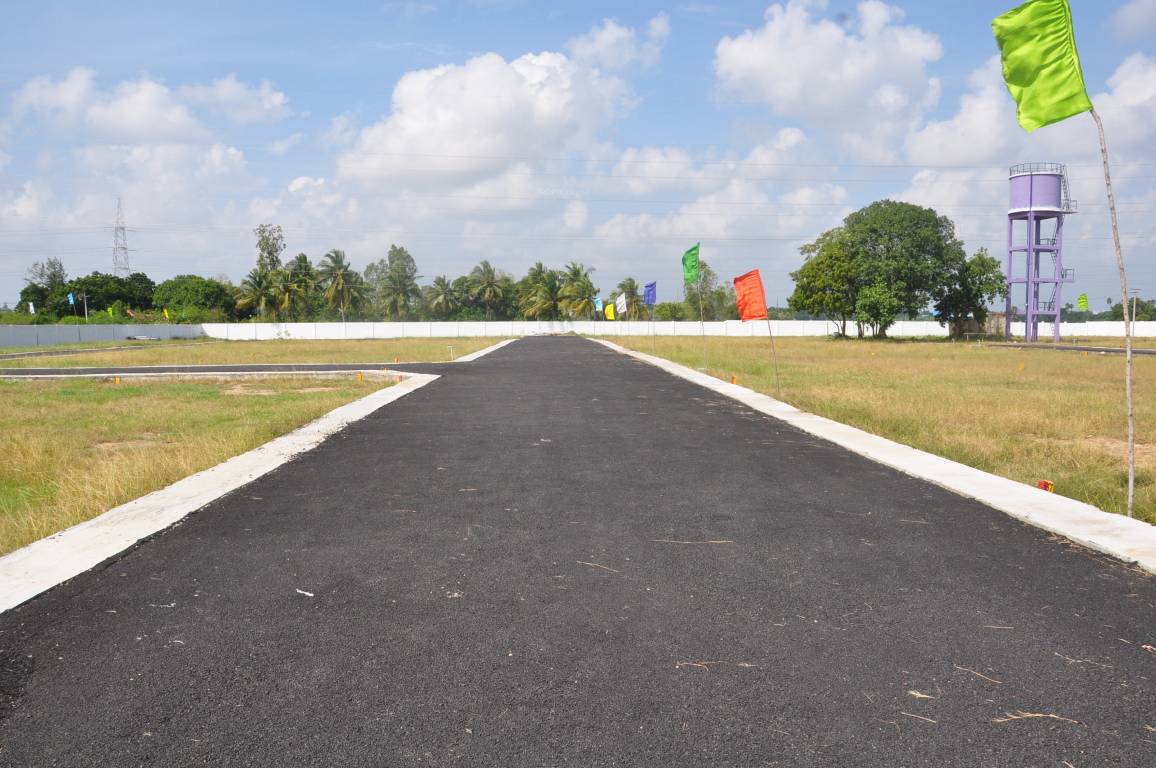 Images for mainOther