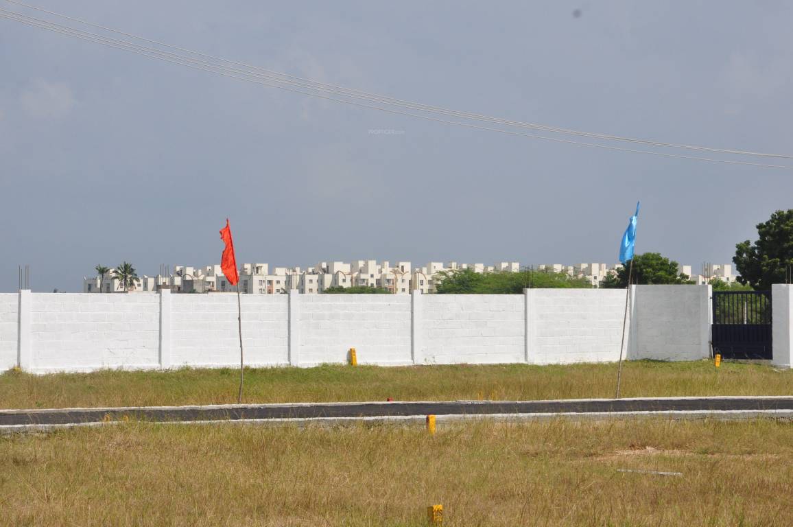 Images for mainOther