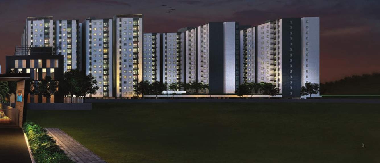  zenith phase ii Elevation