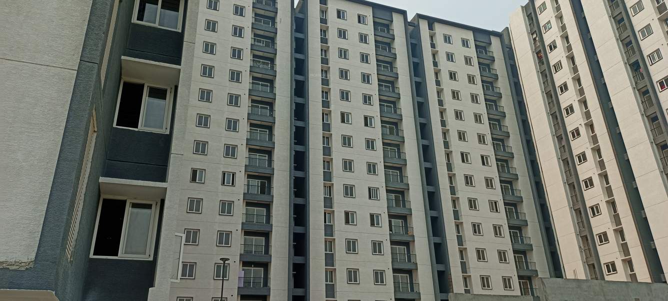  zenith phase ii Elevation