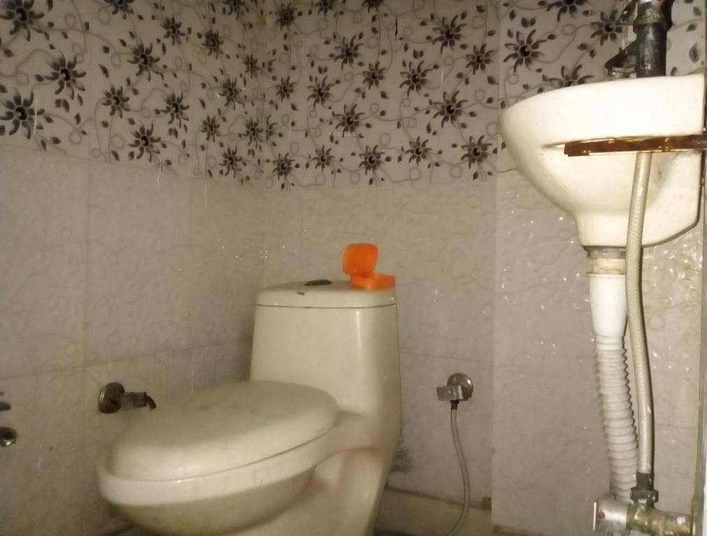 Images for mainOther