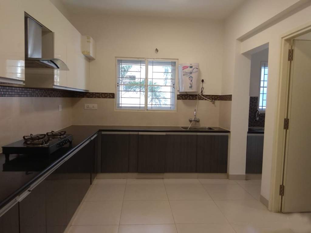 Images for mainOther