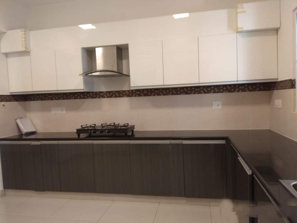 Images for mainOther