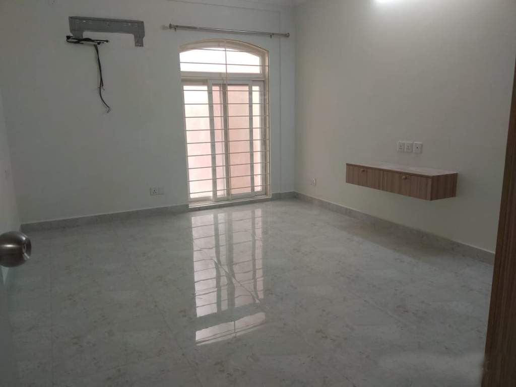 Images for mainOther