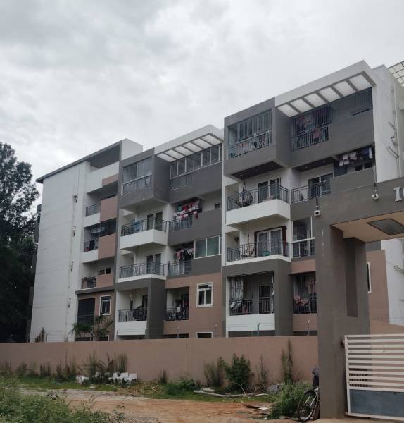  sn-luxuria Elevation