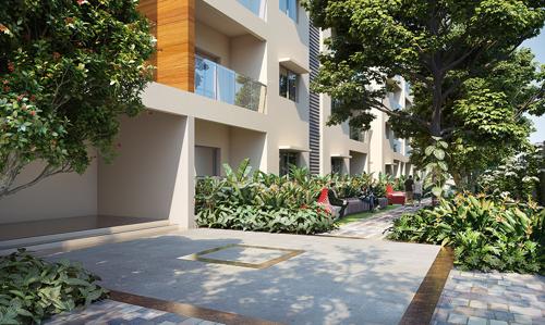  astria Landscape Garden and Tree Planting