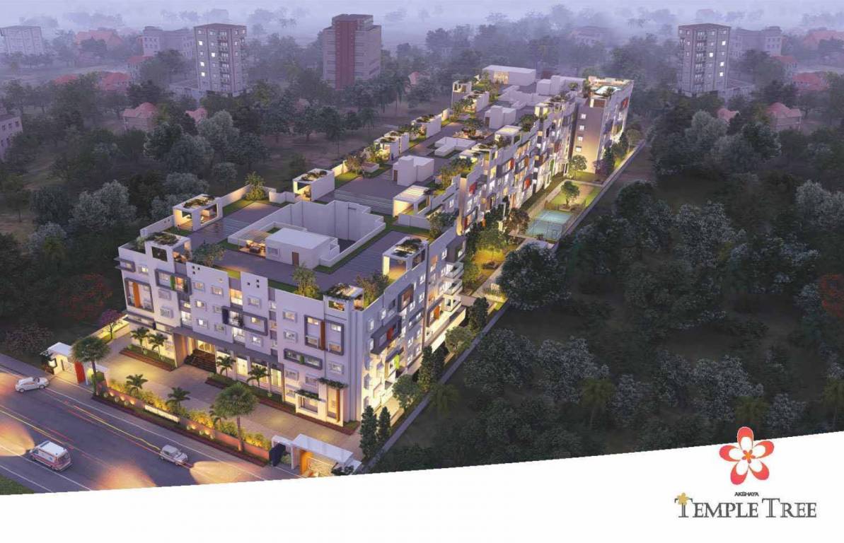 temple tree Elevation