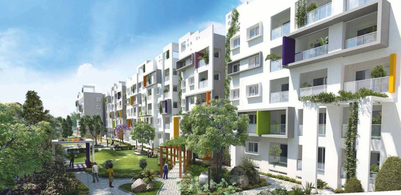 temple tree Elevation