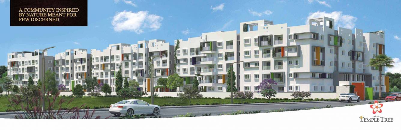 temple tree Elevation