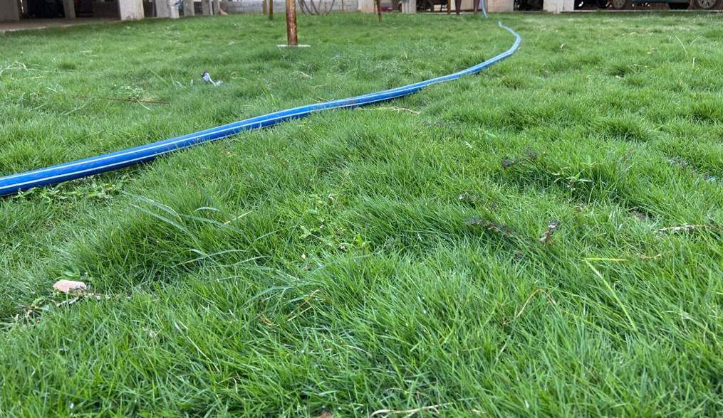  unnathi vaibhavi Landscape Garden and Tree Planting