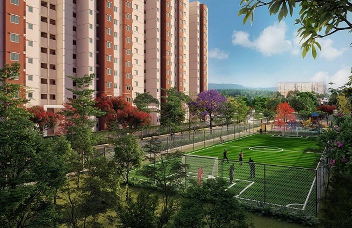 Images for amenities