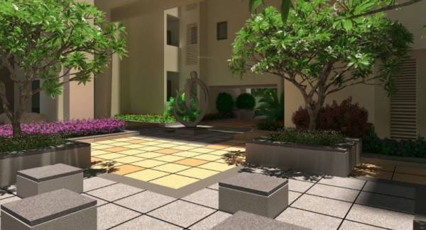  viveza Senior Citizen Siteout