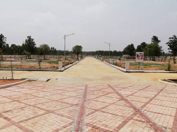 Images for mainOther