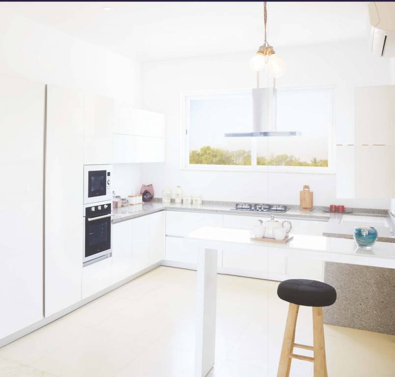 Images for mainOther