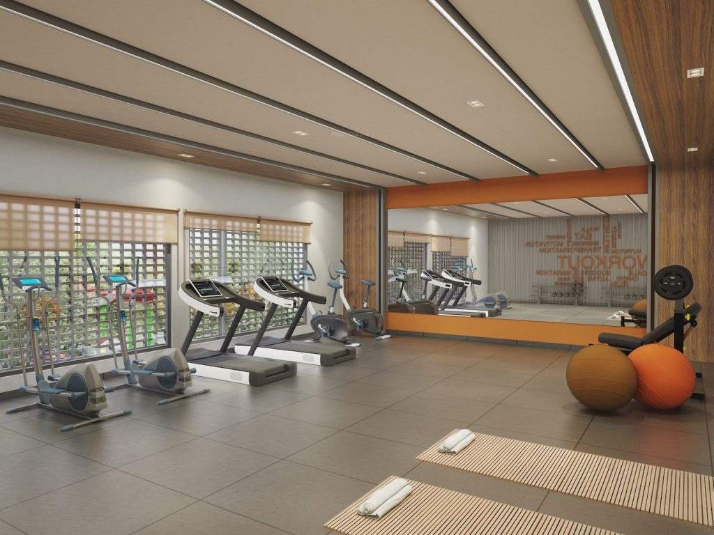  orchid exotica Gymnasium