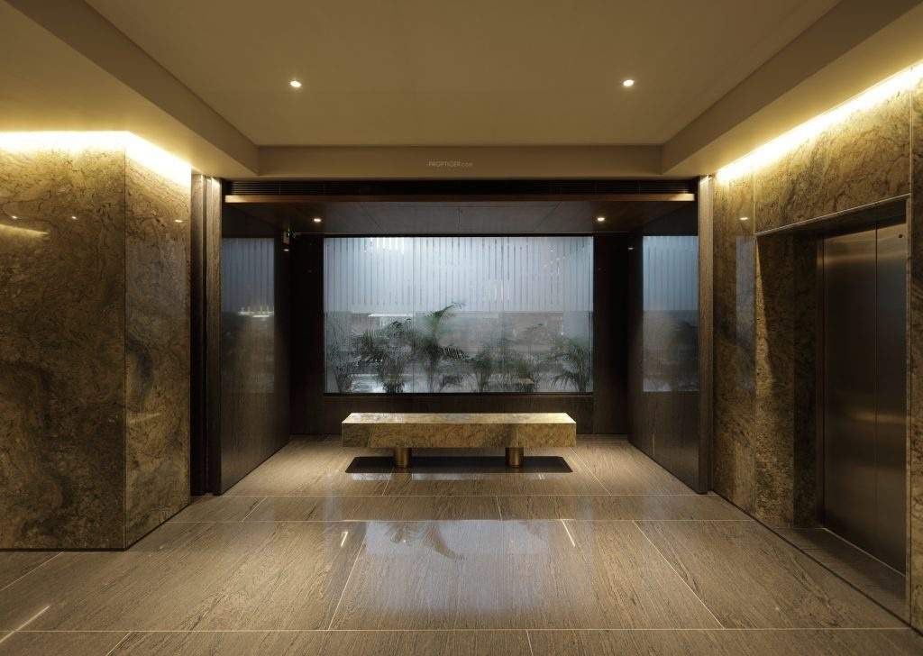  orchid exotica Lift(s)