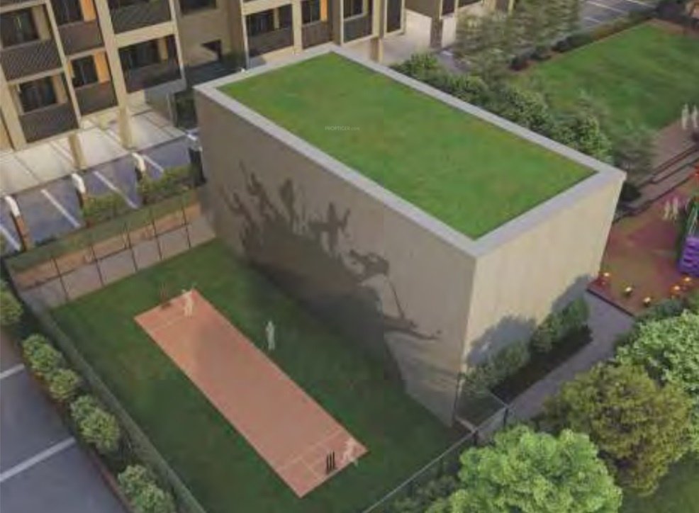  orchid exotica Others