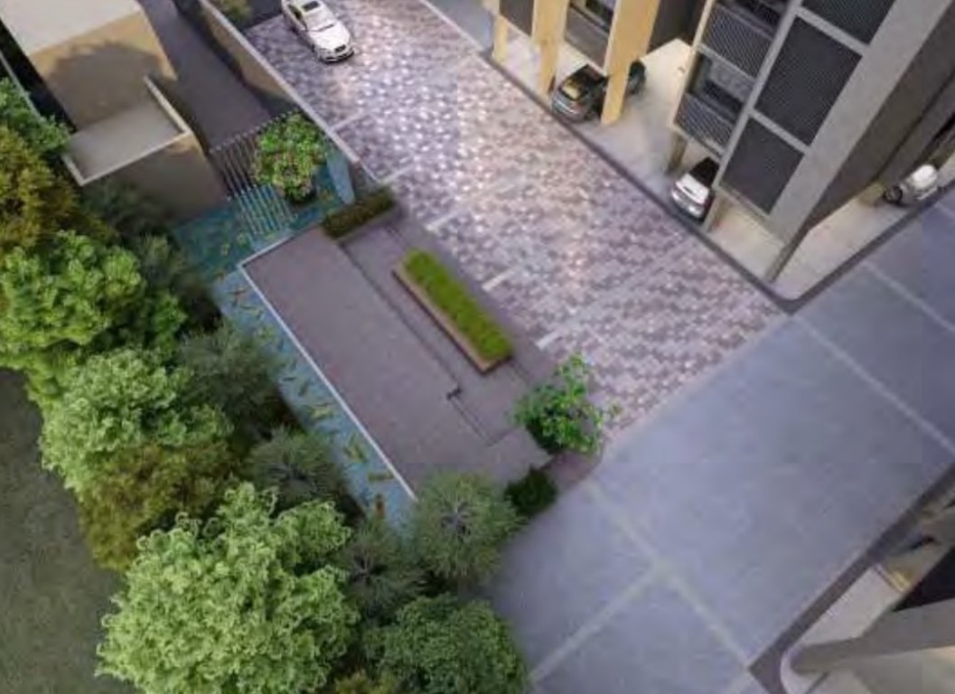  orchid exotica Others